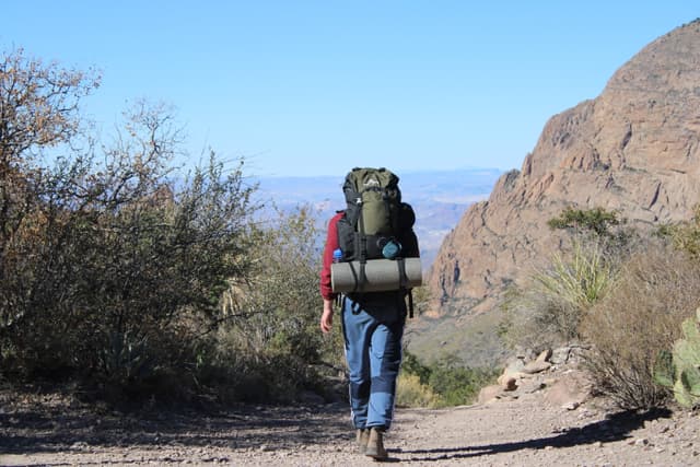 Backpacking Home