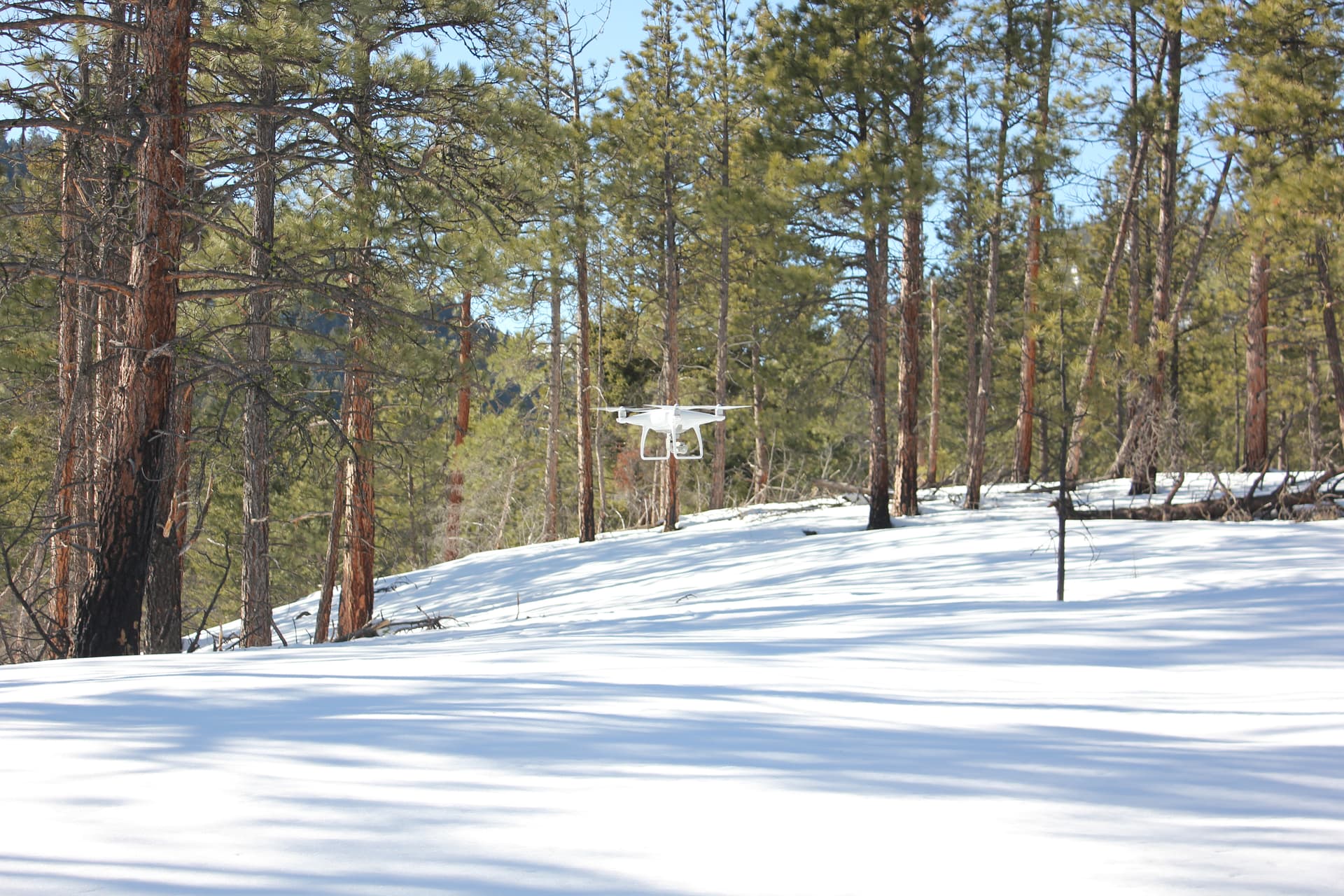 Snow Drone